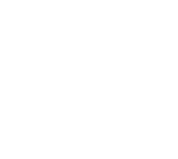 Dayrise logo